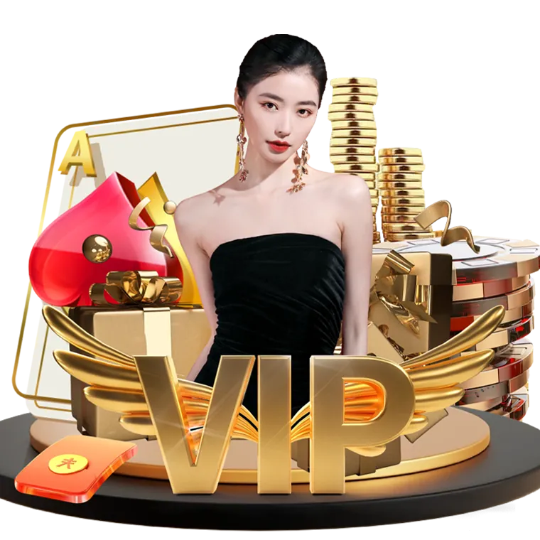 Overview of bmw55 online casino platform