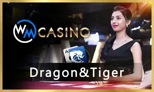 bmw55 SA Gaming Live Casino