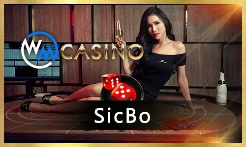 bmw55 Playtech Casino